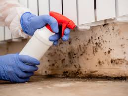 Trusted Crown Heights, NY Mold Removal Services Experts